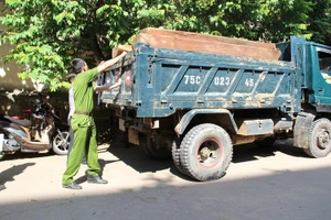 Bắt giữ ba xe gỗ lậu