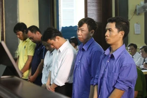 Xử vụ Tân Hoàng Phát: Từ ông chủ cầm đầu cãi thành... người giúp việc