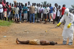 WHO nghiên cứu máu của người nhiễm Ebola sống sót