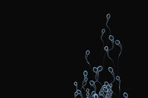 Phát hiện mới: đàn ông đẹp trai có chất lượng tinh trùng kém