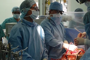 Không có họ chúng tôi đã chết