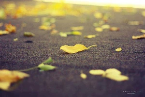 Nguội lạnh sau chuyến đi xa