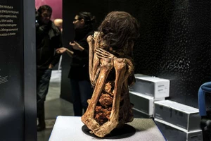 Cuộc triển lãm trưng bày xác ướp