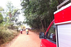 Dập lửa đám cỏ, phát hiện xác chết