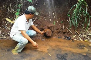 Quả đạn pháo trong khu dân cư đã được xử lý