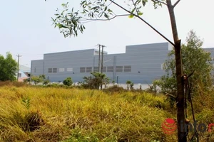 Phát hiện thi thể thanh niên treo trên cây tràm, chân chạm đất