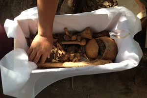 Vụ hố chôn tập thể tại Cam Ranh: Cải táng 51 hài cốt