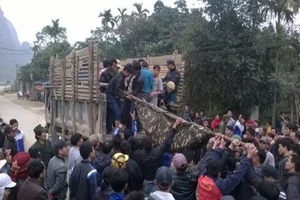 Sập hầm khai thác đá quý, 3 người tử vong