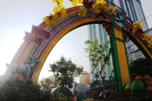 Đường hoa ‘Sắc xuân phương Nam’ trước giờ khai mạc