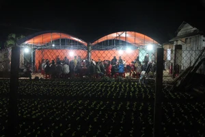 Đâm cha 2 nhát tử vong để cứu mẹ