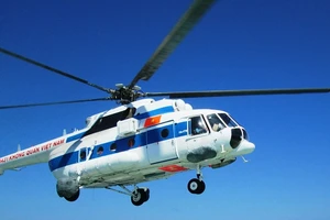 Cánh bay mùa xuân