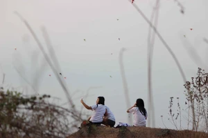 Lãng mạn mùa thả diều ở Làng Đại học