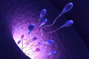 Tuổi thọ tinh binh sau khi xuất trận