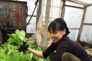 Người phụ nữ Việt sở hữu 2000m vuông rau sạch ở Nga