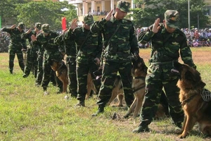 Chùm ảnh biểu diễn võ thuật đầy uy dũng của Bộ đội biên phòng
