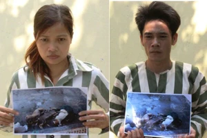 Khởi tố, bắt giam hai vợ chồng trộm chó