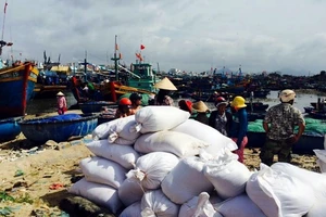 Làm rõ tàu Hải Trường 36 có bị tấn công để hôi của hay không?