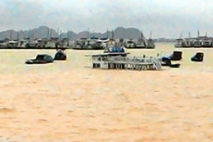 Quảng Ninh: hàng trăm xe bất chấp sạt lở, băng đường đi trong nguy hiểm