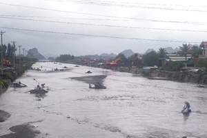 Người dân Quảng Ninh bất chấp nguy hiểm cố vớt than trôi