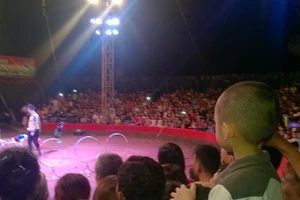 Vụ rạp xiếc sập khán đài: lượng khách quá tải đến 40%