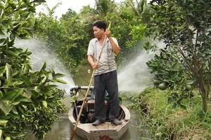 Hộ mới thoát nghèo được vay tối đa tới 50 triệu