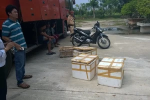 Phát hiện xe khách chở thực phẩm bẩn và xe máy bị trộm