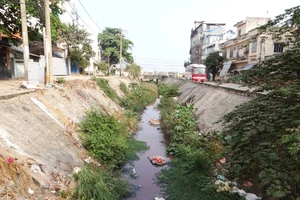 'Xả rác là chuyện nhỏ, có gì mà lên án?'