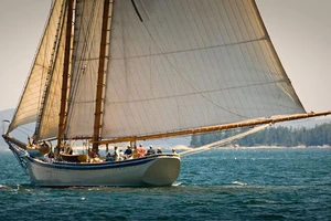 Du khách Hong Kong rơi từ thuyền buồm xuống biển