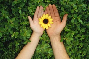 Cổ tích tình yêu của một nạn nhân tai nạn giao thông