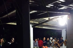 Ninh Thuận thực nghiệm hiện trường vụ án vườn táo