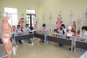 Đào tạo ngành y, dược: 'Đầu vào không quan trọng lắm'