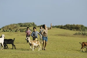 Không thể làm phim 'khách chẳng buồn xem, tốn đống tiền thuế của dân'