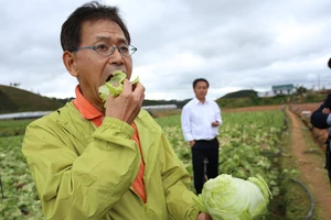 Kết nối doanh nghiệp Nhật Bản - Việt Nam trong lĩnh vực nông nghiệp