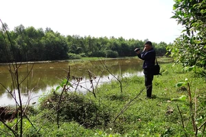Bắt công ty xả nước thải đủ màu ra kênh Thầy Cai