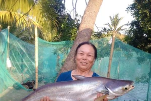 Ngư dân liên tiếp bắt được cá ‘khủng’ ở sông Đồng Nai