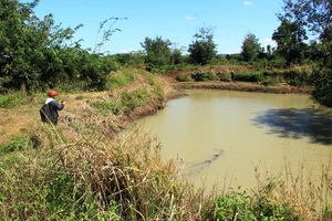 Tắm ao, hai bé trai tám tuổi đuối nước thương tâm