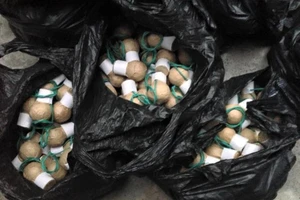 Bắt giữ 750 quả pháo trên đường vận chuyển đi tiêu thụ