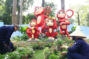 Hội hoa xuân hoàn thành 85%, phố ông đồ ngày đầu khai mạc