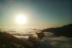 Lên Tam Đảo ‘săn’ mây