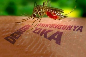 Kiểm dịch y tế tại cửa khẩu phòng virus Zika xâm nhập