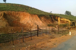 Đổi chiến thuật trộm diệp thạch sét trong đêm