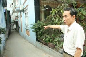 Vụ bốn con chó cắn chủ: Lời kể của 'người hùng' giải cứu 