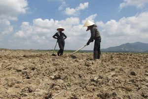 Kon Tum công bố hạn hán cấp độ rủi ro cấp 1