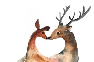 Bốn xin và bốn luôn