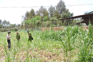 Phát hiện thi thể người đàn ông bị mất tích 8 ngày trước