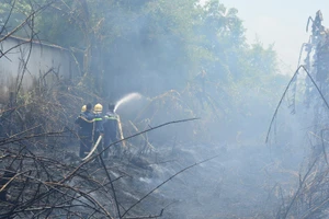 Nghi ngờ đốt ong làm cháy cả nhà dân