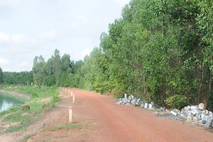 Hàng trăm thùng hóa chất đổ bậy ven sông, dân bất an