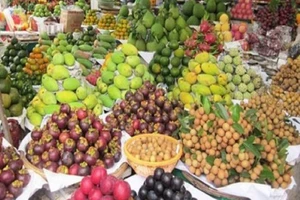 Trái cây Việt thiệt thòi vì bị ‘mượn xác'