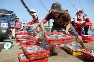 Xét nghiệm khoảng 1.000 mẫu thủy, hải sản miền Trung