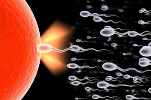 Những dấu hiệu khẳng định ‘tinh binh’ hùng mạnh